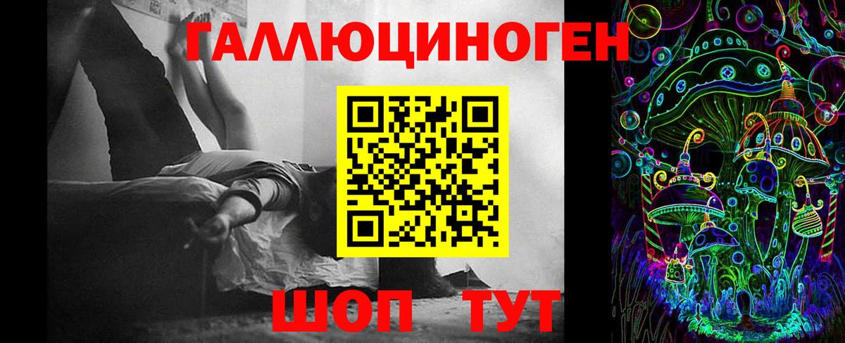 Галлюциногенные грибы Cubensis Междуреченск